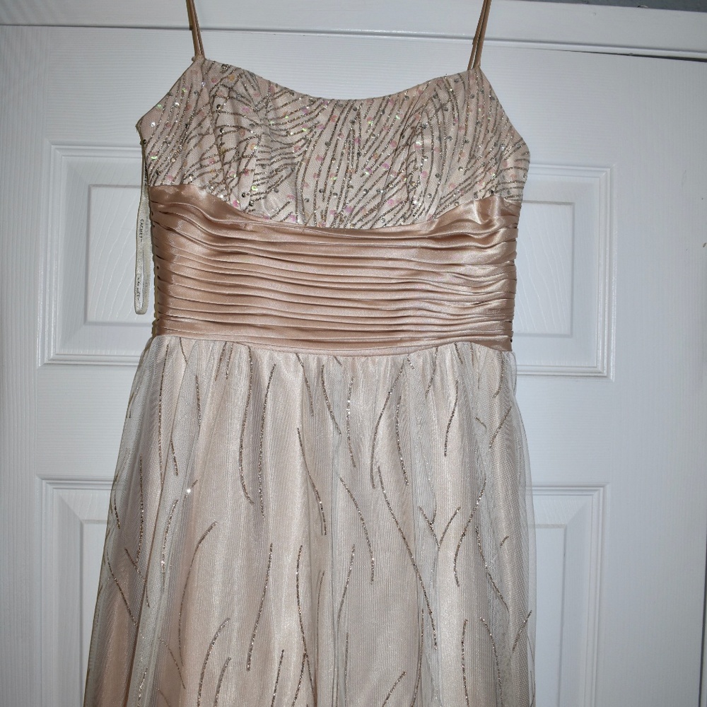 Prom Dress - Picture 7 of 8